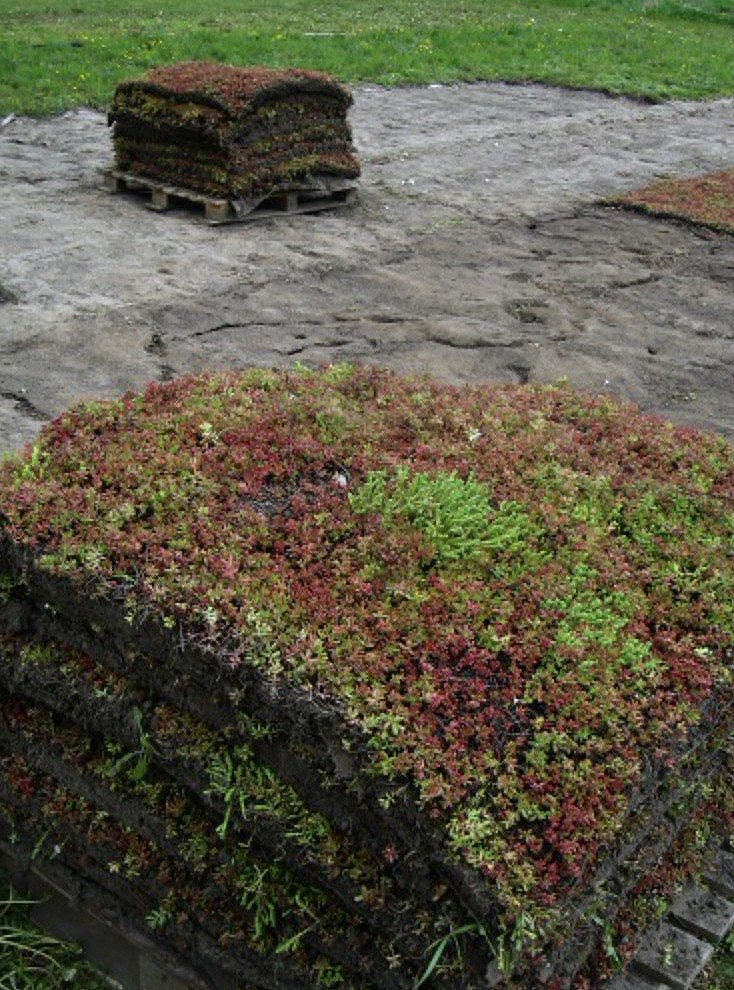 kukeharjamatt